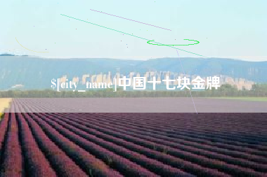 乐陵中国十七块金牌