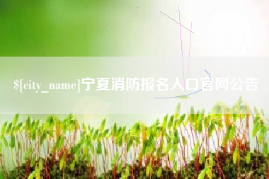 乐陵宁夏消防报名入口官网公告