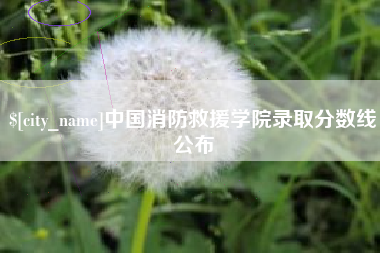 乐陵中国消防救援学院录取分数线公布