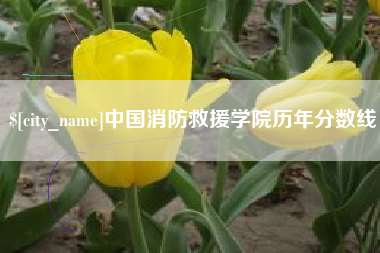 乐陵中国消防救援学院历年分数线