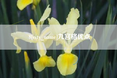 乐陵九宫格优点