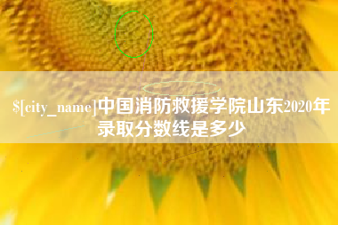 乐陵中国消防救援学院山东2020年录取分数线是多少