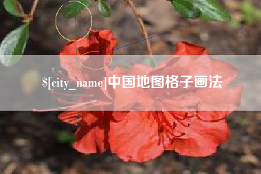 乐陵中国地图格子画法