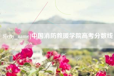 乐陵中国消防救援学院高考分数线