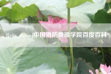 乐陵中国消防救援学院百度百科