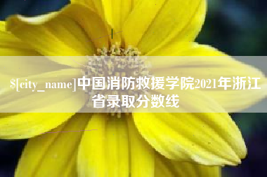 乐陵中国消防救援学院2021年浙江省录取分数线