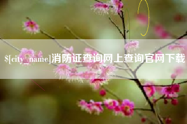 乐陵消防证查询网上查询官网下载