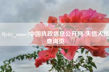 乐陵中国执政信息公开网-失信人员查询页