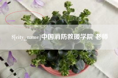 乐陵中国消防救援学院 老师