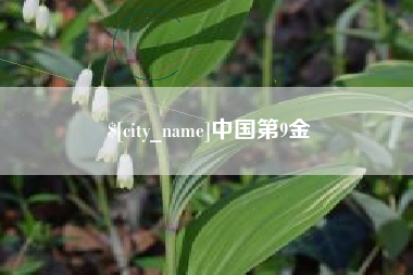 乐陵中国第9金