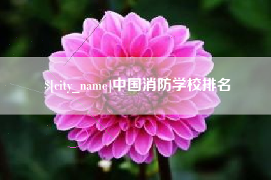 乐陵中国消防学校排名