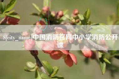 乐陵中国消防官网中小学消防公开课