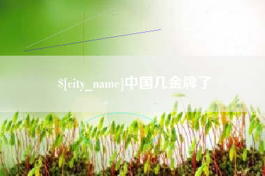 乐陵中国几金牌了