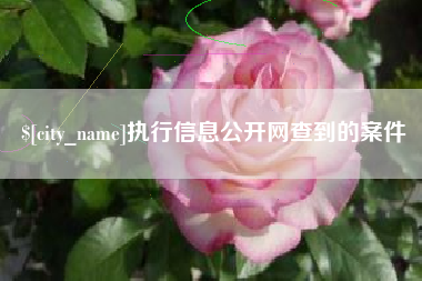 乐陵执行信息公开网查到的案件
