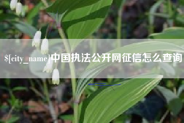 乐陵中国执法公开网征信怎么查询