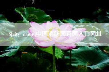 乐陵中国消防网官网入口网址