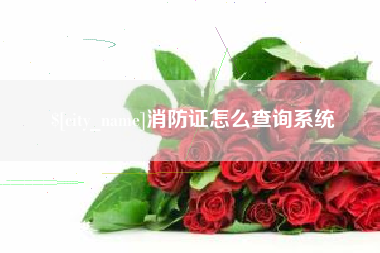 乐陵消防证怎么查询系统