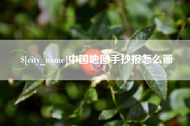 乐陵中国地图手抄报怎么画