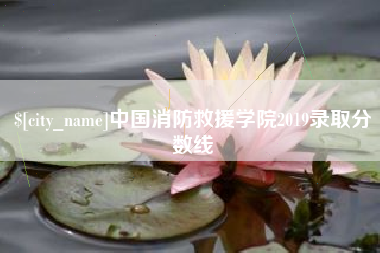 乐陵中国消防救援学院2019录取分数线