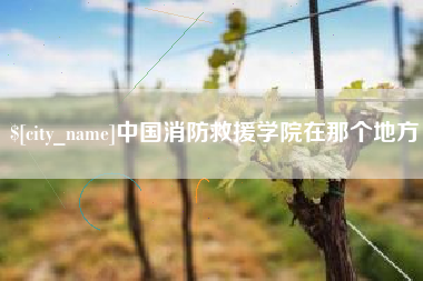 乐陵中国消防救援学院在那个地方