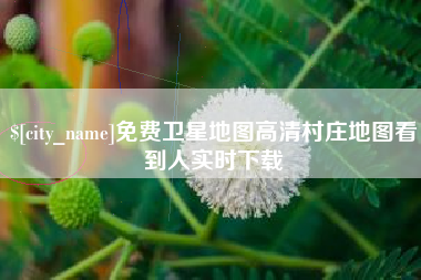乐陵免费卫星地图高清村庄地图看到人实时下载