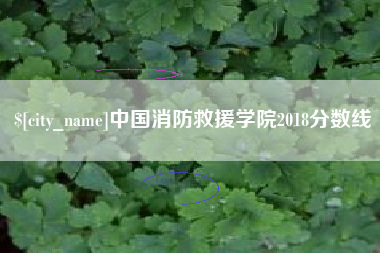乐陵中国消防救援学院2018分数线