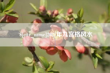 乐陵2021年九宫格风水