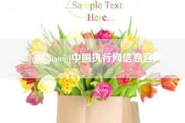 乐陵中国执行网信息官网