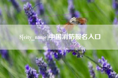 乐陵中国消防报名入口