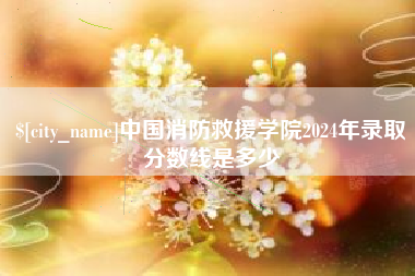 乐陵中国消防救援学院2024年录取分数线是多少