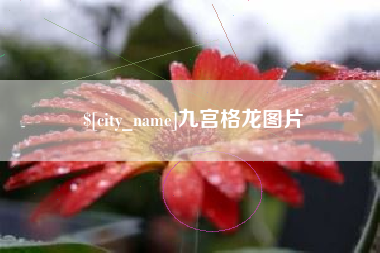 乐陵九宫格龙图片