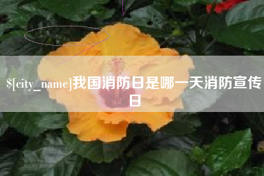 乐陵我国消防日是哪一天消防宣传日