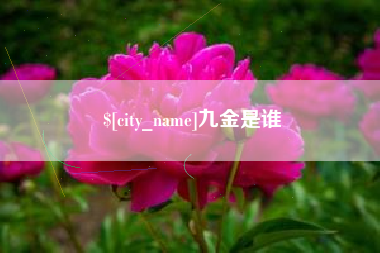 乐陵九金是谁