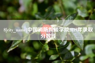 乐陵中国消防救援学院2019年录取分数线