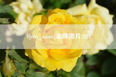 乐陵金牌图片2021