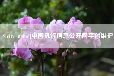 乐陵中国执行信息公开网平台维护