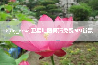 乐陵卫星地图高清免费2024街景