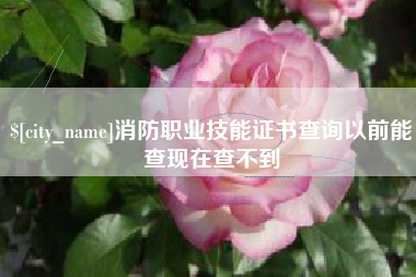 乐陵消防职业技能证书查询以前能查现在查不到