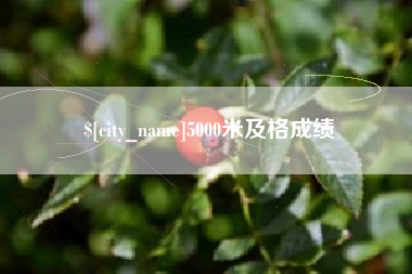 乐陵5000米及格成绩