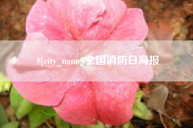 乐陵全国消防日海报