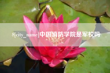 乐陵中国消防学院是军校吗