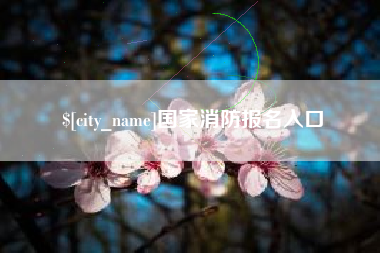 乐陵国家消防报名入口