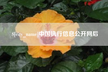 乐陵中国执行信息公开网后