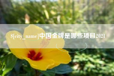 乐陵中国金牌是哪些项目2021