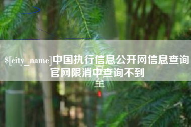 乐陵中国执行信息公开网信息查询官网限消中查询不到