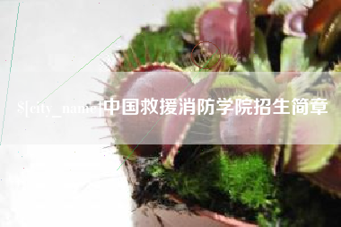 乐陵中国救援消防学院招生简章