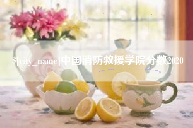 乐陵中国消防救援学院分数2020