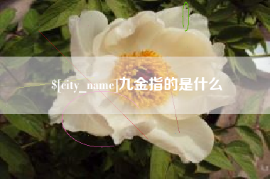 乐陵九金指的是什么