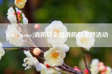 乐陵消防日全国消防日主题活动