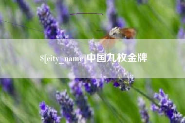 乐陵中国九枚金牌